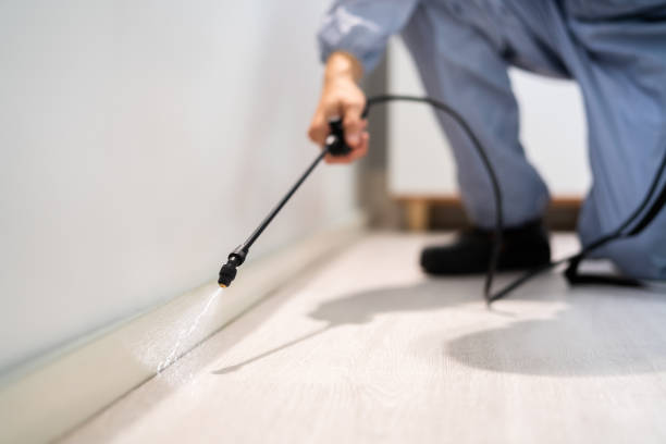 Licensed Pest Control service in Winterville, NC - Show Me Pest Control